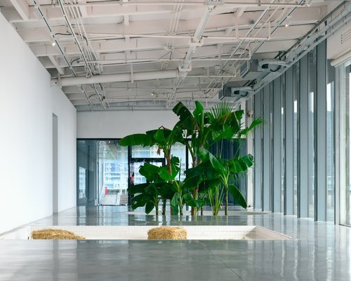 Cozy well lit workspace with natural light and plants